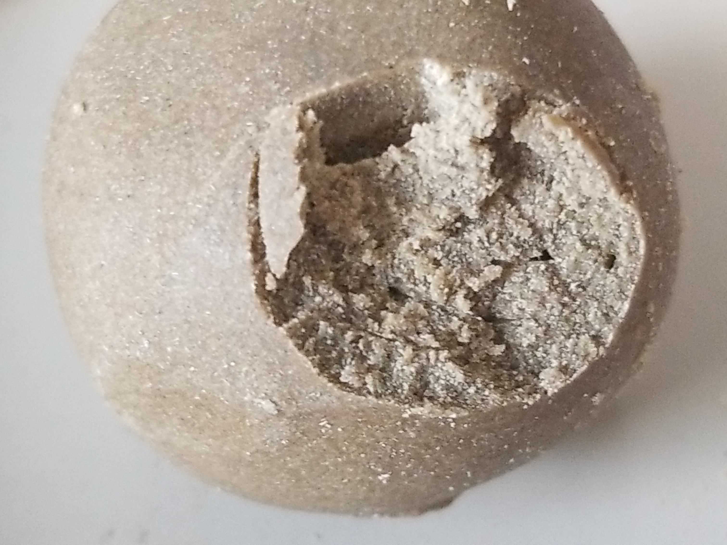 Original archive image for Why Did This Bubblehash Nucleate?